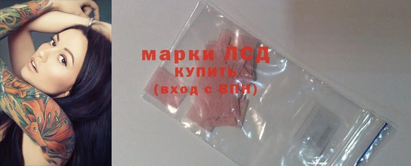 ГАЛЛЮЦИНОГЕННЫЕ ГРИБЫ Зерноград