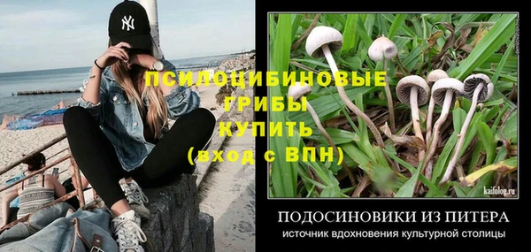 соль курить ск Заволжье
