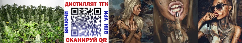 Купить  Выборг  ТГК жижа 