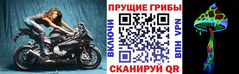 Галлюциногенные грибы Magic Shrooms  Купить где  Выборг 